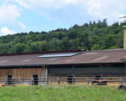 Grimm Solartechnik AG - 