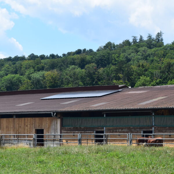 Grimm Solartechnik AG -