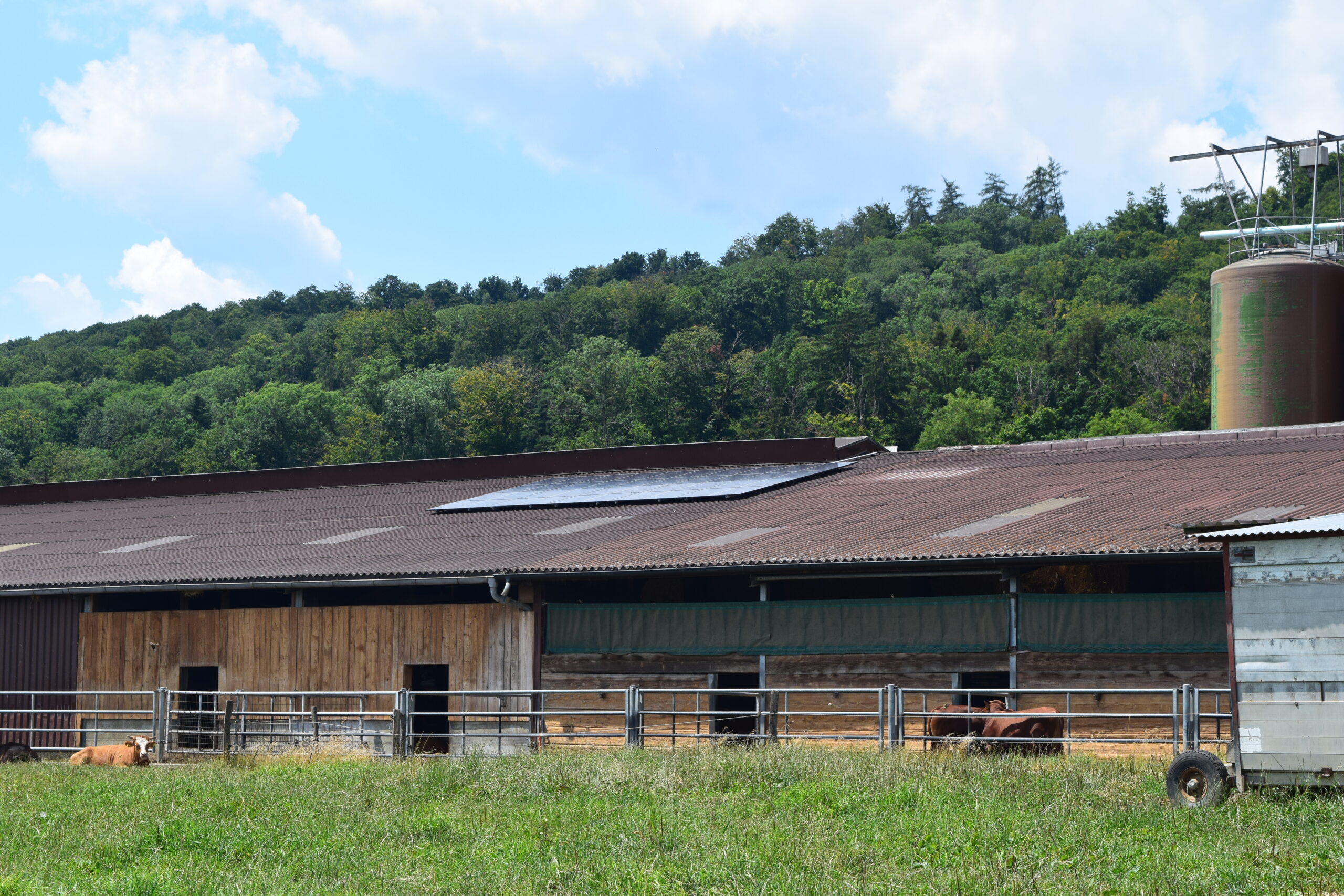 Grimm Solartechnik AG -